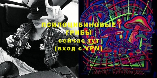 спайс Арсеньев