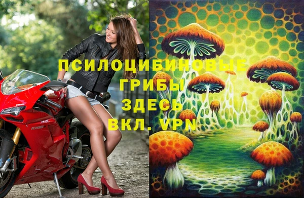 спайс Арсеньев