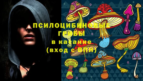 твердый Армянск