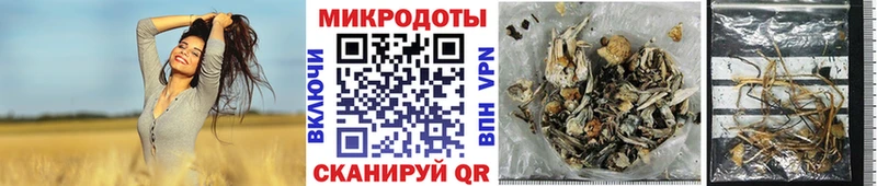 blacksprut сайт Усолье-Сибирское Галлюциногенные грибы ЛСД цены